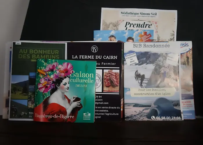 «Coeur De Vie » Logement Hyper Centre De Bagneres De Bigorre