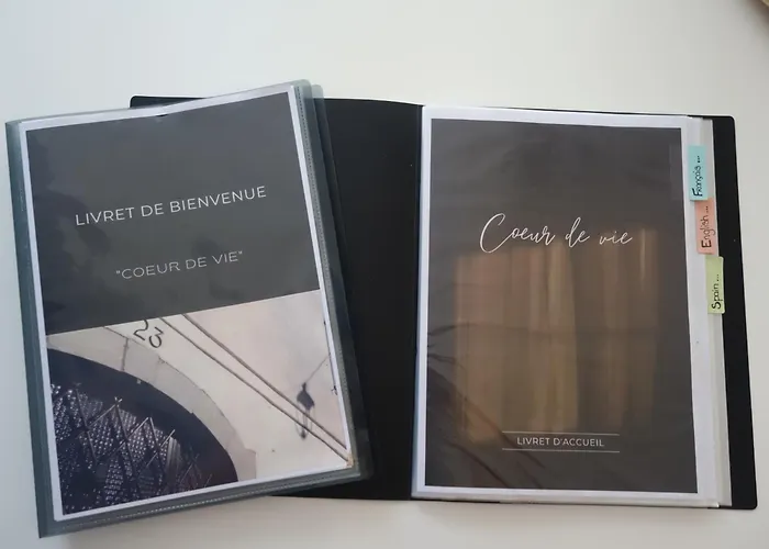 «Coeur De Vie » Logement Hyper Centre De Bagneres De Bigorre